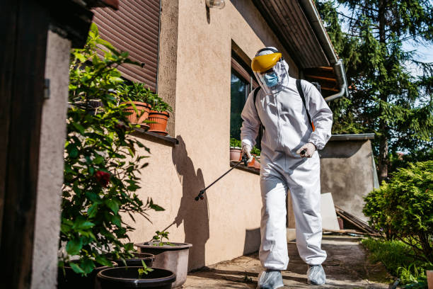 Best Wildlife Control Services  in Anahola, HI