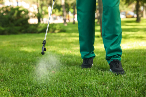 Best Local Pest Control Services  in Anahola, HI