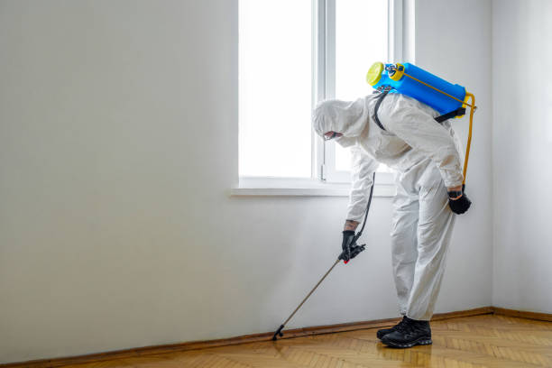 Best Pest Control Near Me in Anahola, HI
