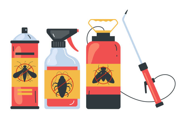 Best Exterminator Services  in Anahola, HI